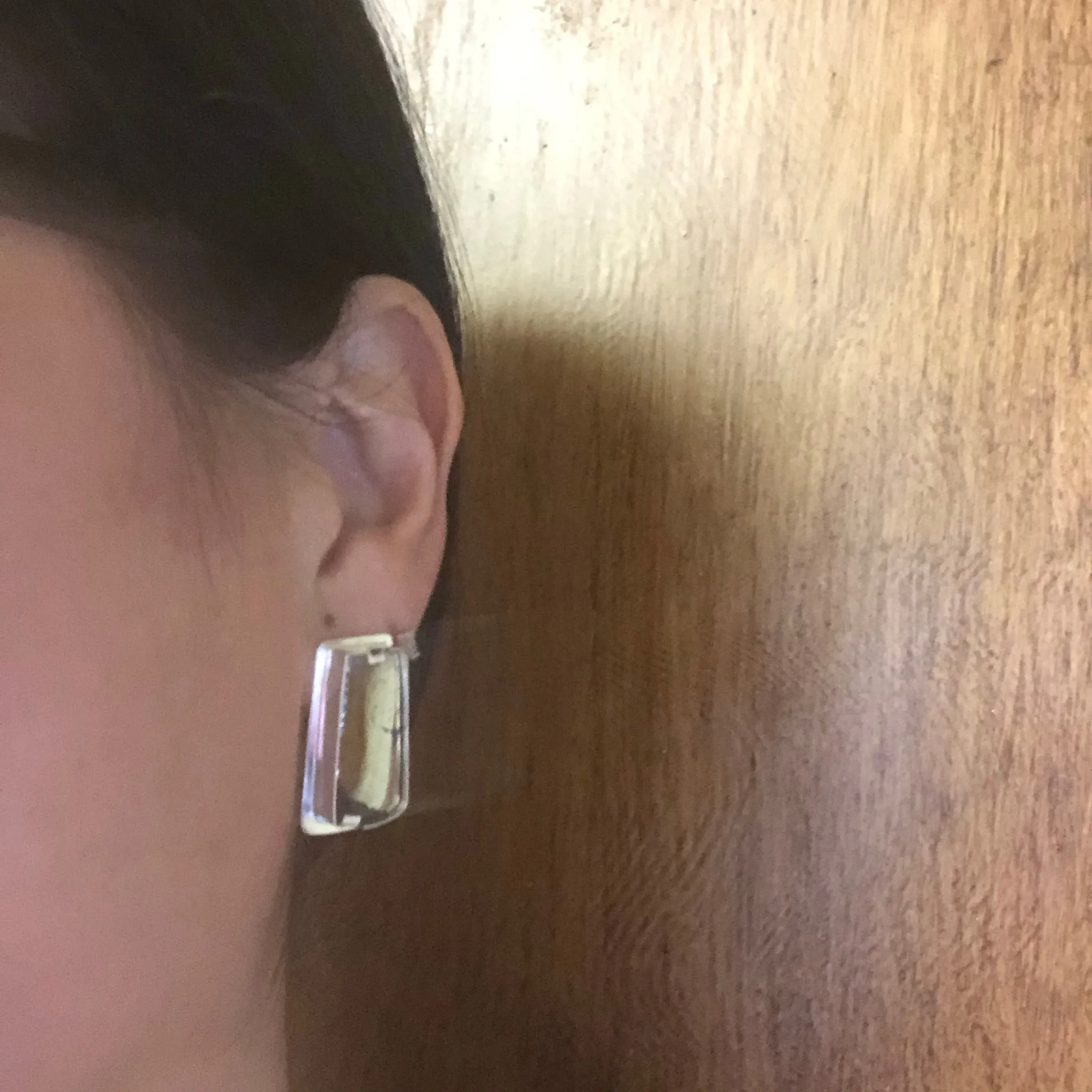 Dark Mountain Apache Gold Earrings (posts)